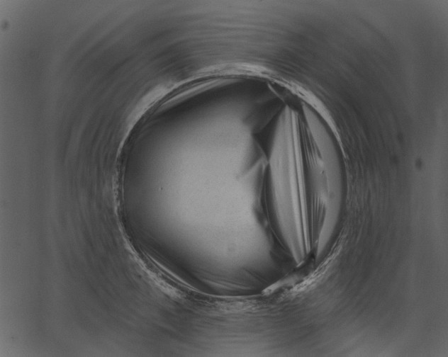 X0000062610997200601111004