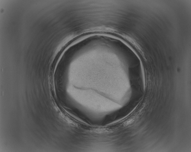 X0000062610998200601111004