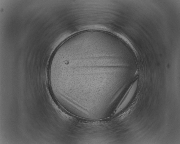 X0000062610999200601111004