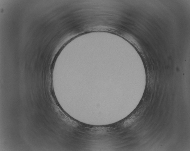 X0000062611000200601111004