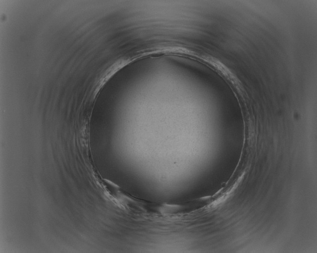 X0000062611001200601111003