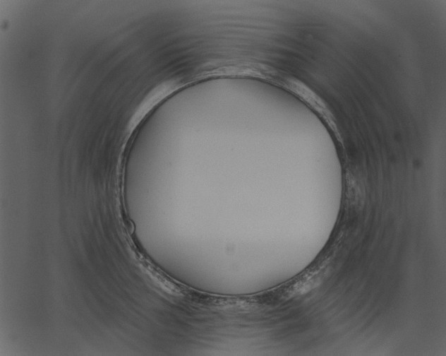 X0000062611002200601111003