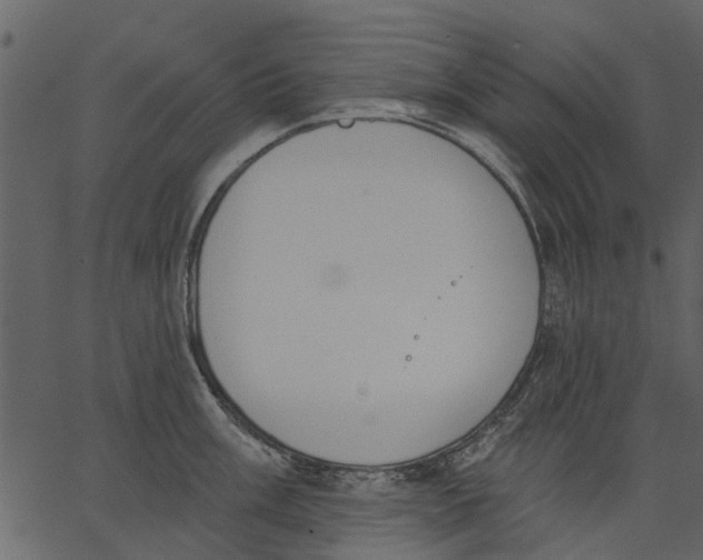 X0000062611003200601111003