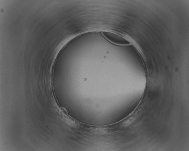 X0000062611004200601111003