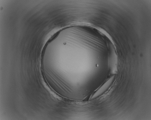 X0000062611005200601111003