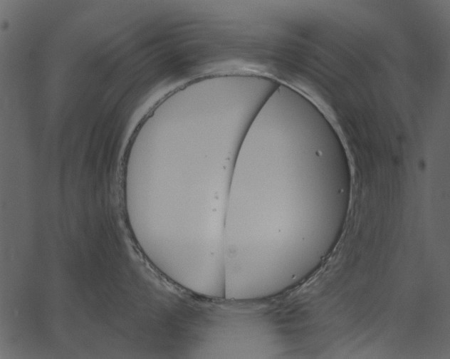 X0000062611008200601111003