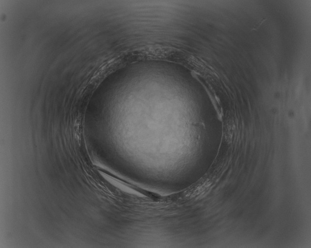 X0000062611010200601111003