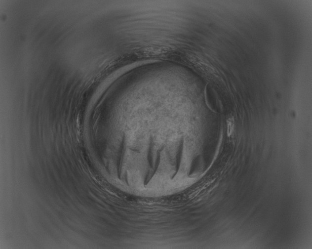 X0000062611011200601111003