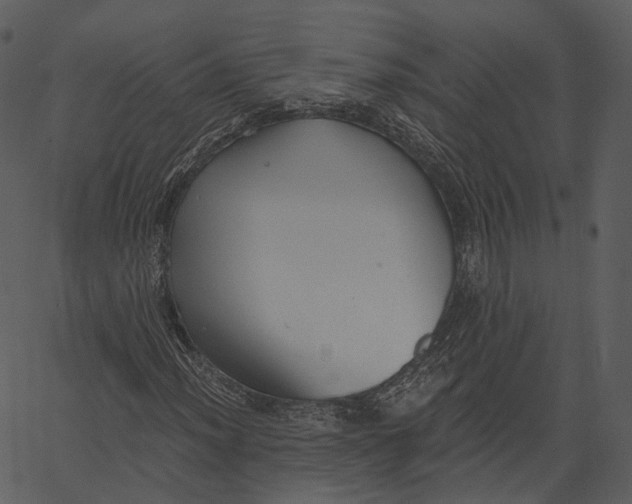 X0000062611012200601111003