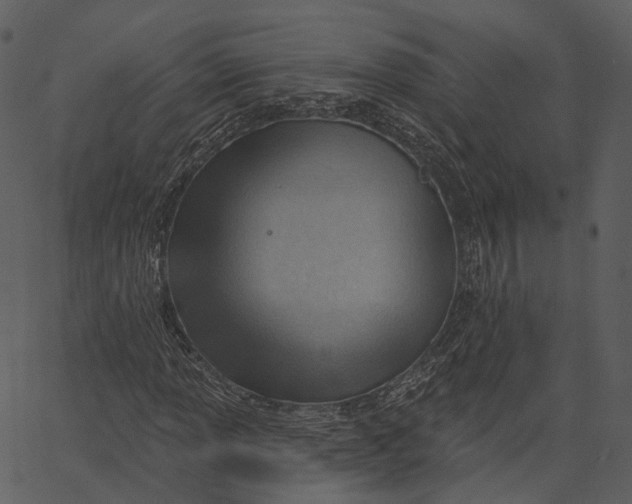 X0000062611013200601111003