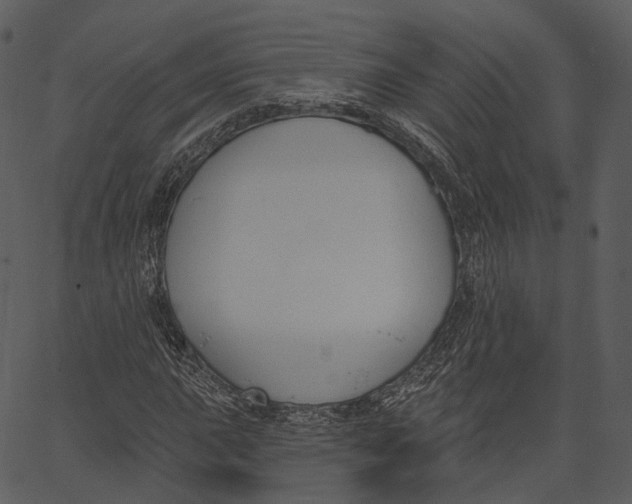 X0000062611015200601111003