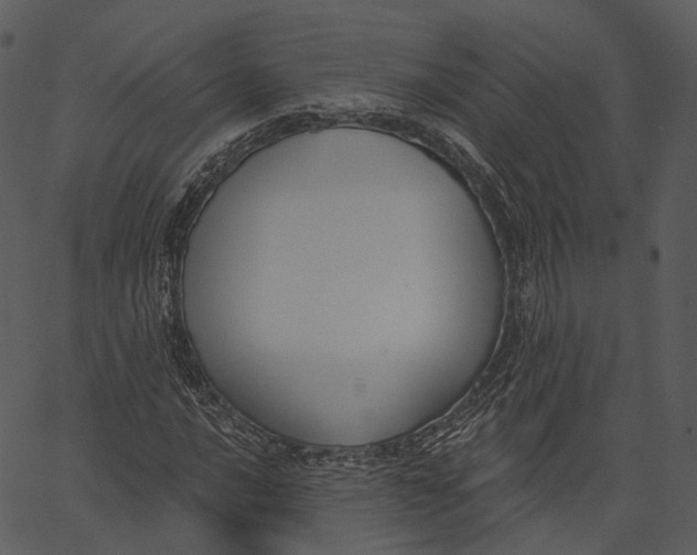 X0000062611016200601111003