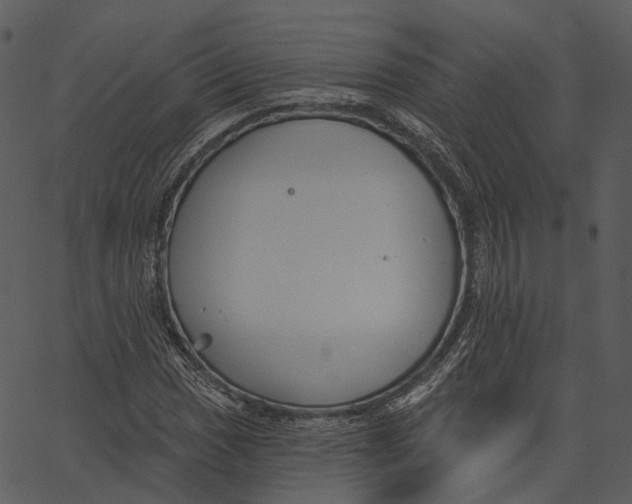 X0000062611017200601111003