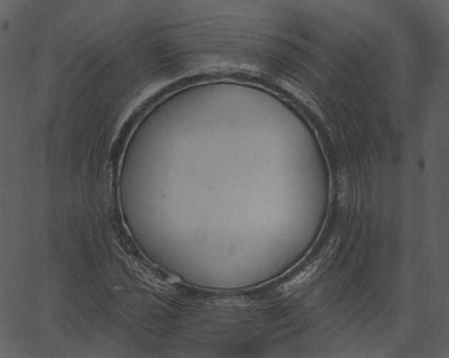 X0000062611021200601111003