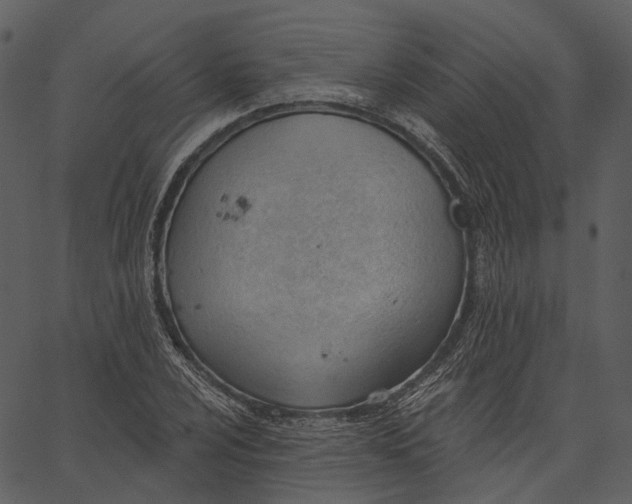 X0000062611024200601111003