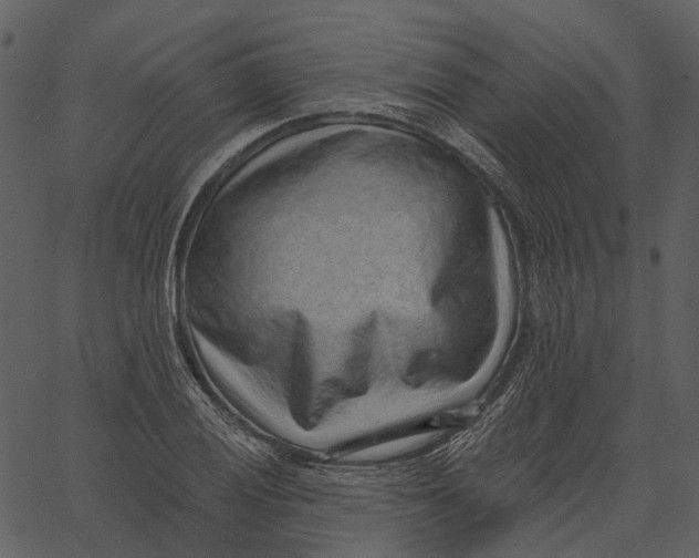 X0000062611028200601111003