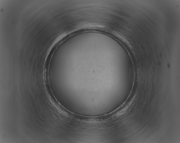 X0000062611029200601111003