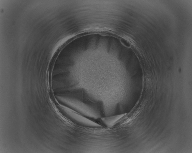 X0000062611030200601111003