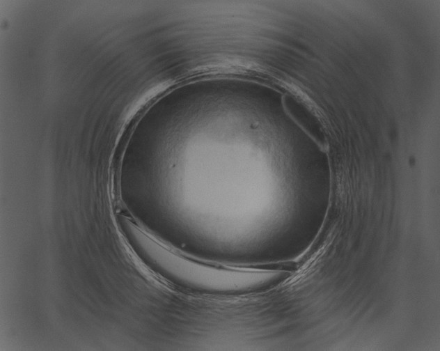 X0000062611034200601111003