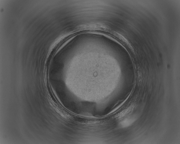 X0000062611035200601111003