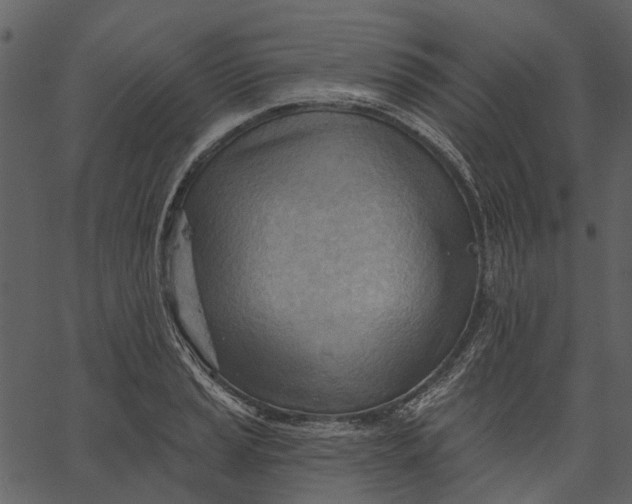 X0000062611037200601111003