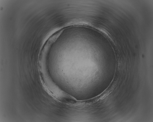 X0000062611038200601111003