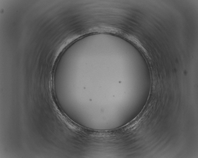 X0000062611040200601111003