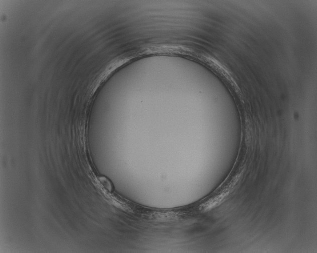 X0000062611041200601111003