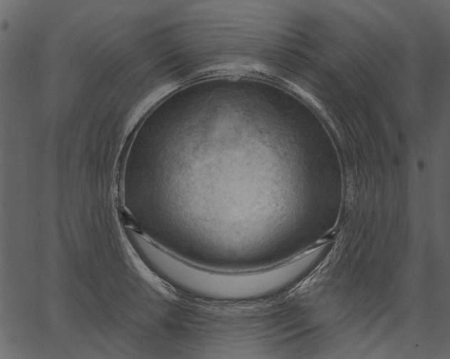 X0000062611042200601111003