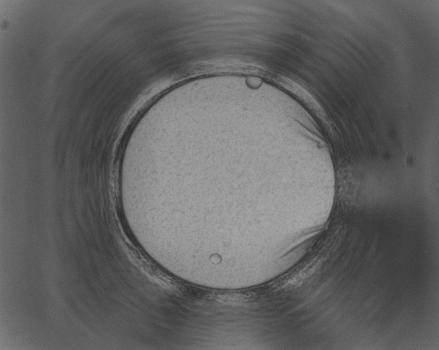 X0000062611043200601111003