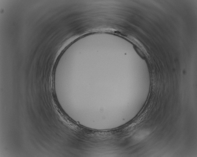 X0000062611044200601111003