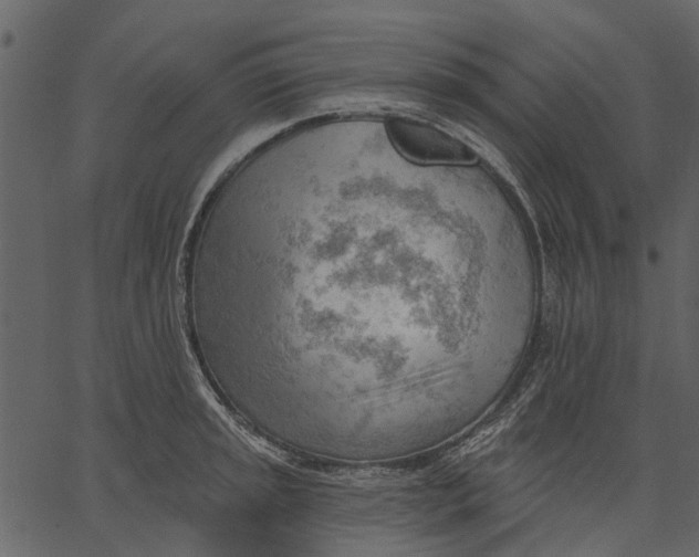 X0000062611045200601111003