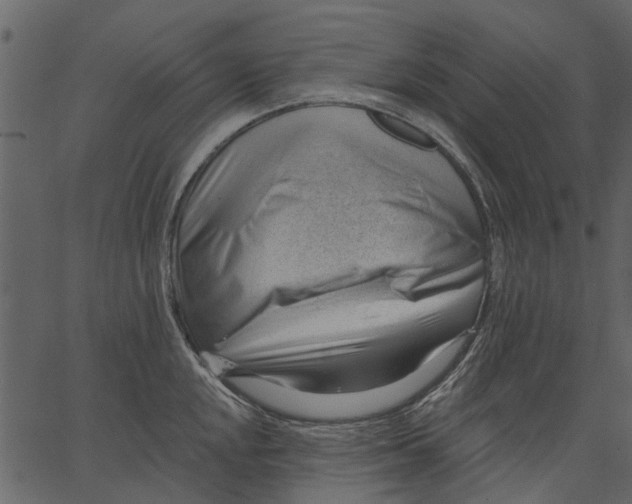 X0000062611048200601111003