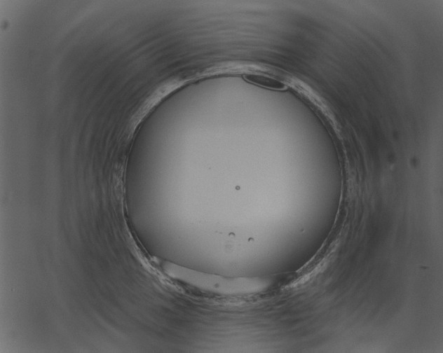 X0000062611049200601111003