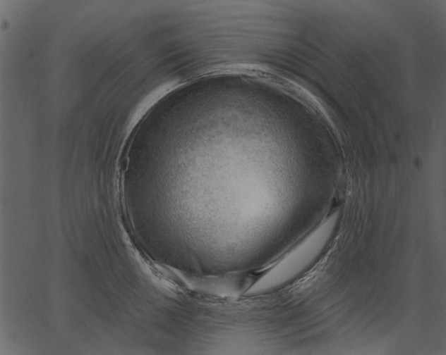 X0000062611050200601111003