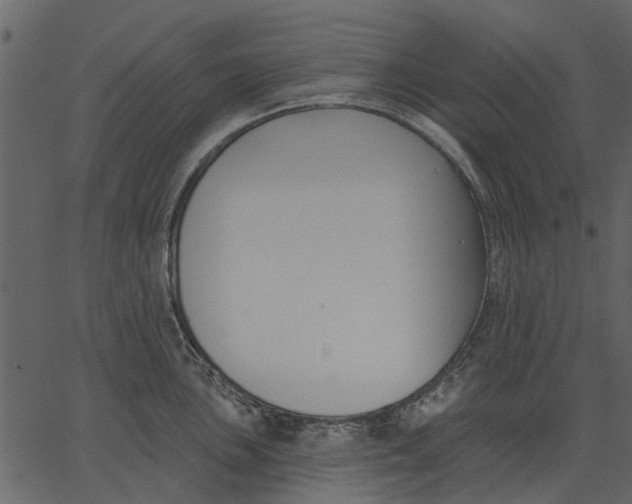 X0000062611051200601111003