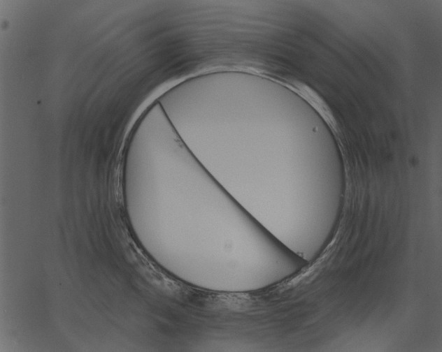 X0000062611052200601111003