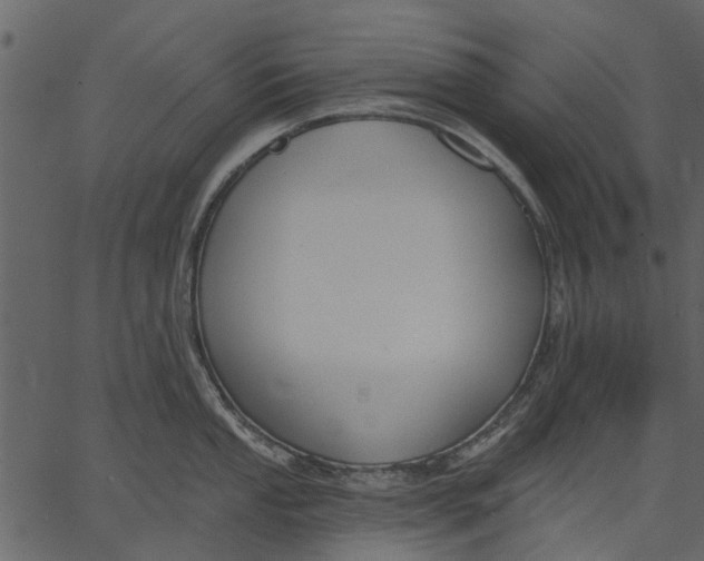 X0000062611053200601111003