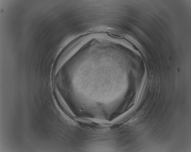 X0000062611055200601111003