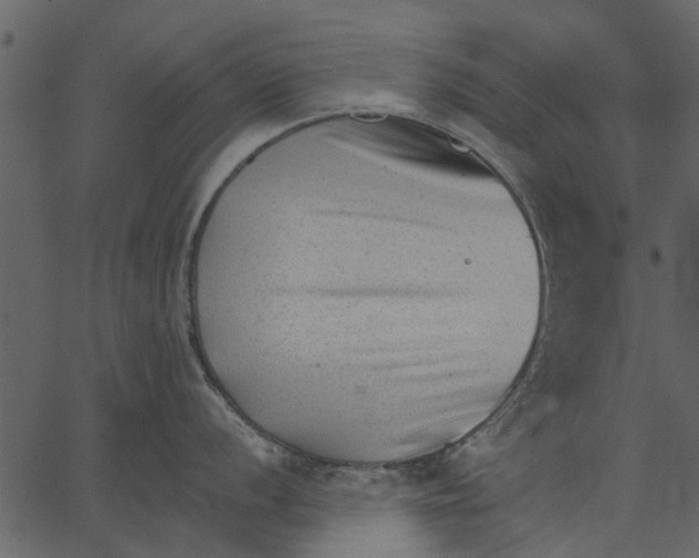 X0000062611056200601111003