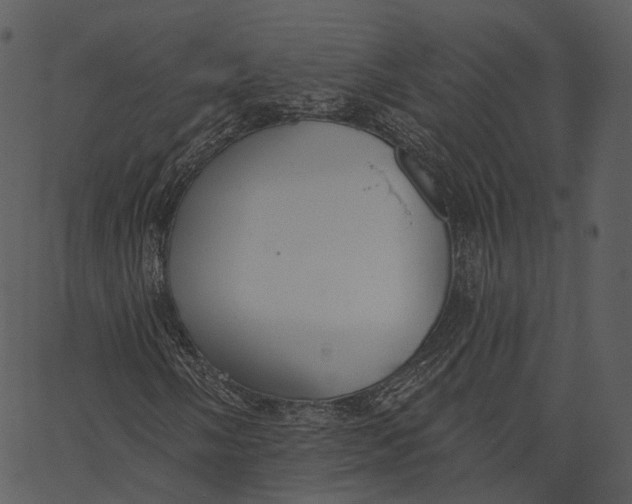 X0000062611058200601111003