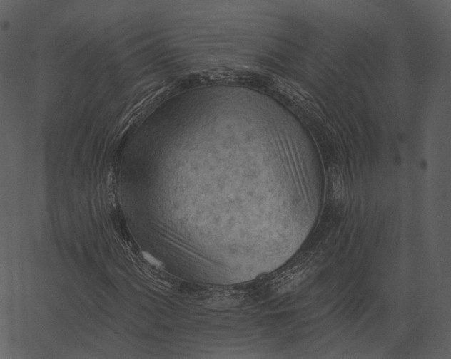 X0000062611060200601111003