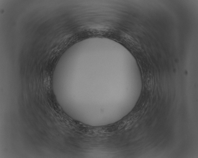 X0000062611061200601111002