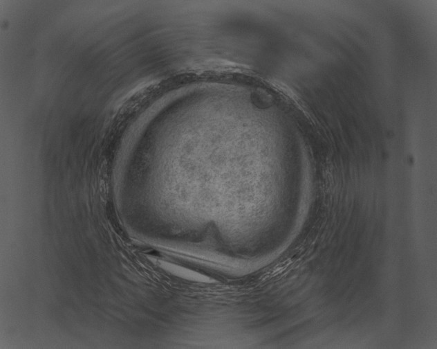 X0000062611063200601111002