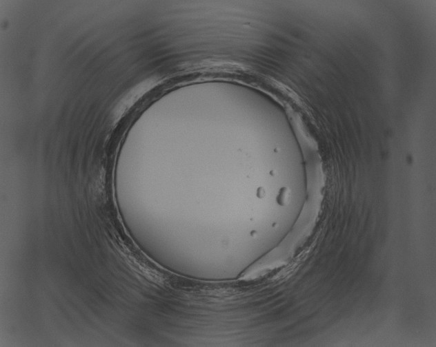 X0000062611066200601111002