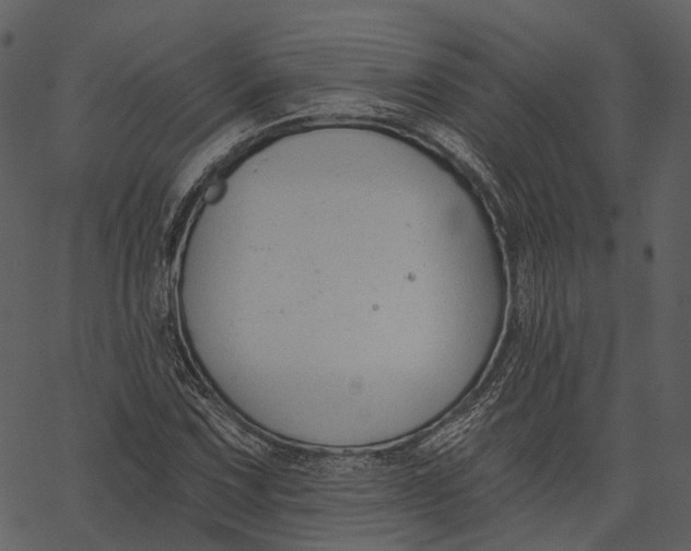 X0000062611067200601111002