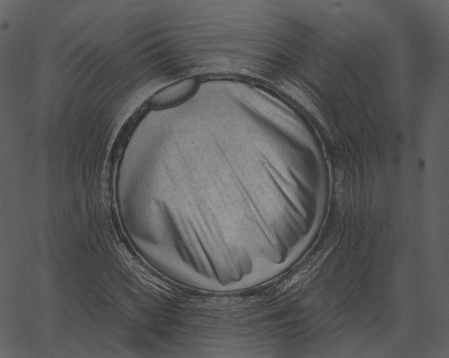 X0000062611068200601111002