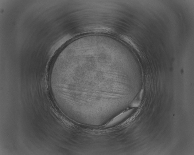 X0000062611071200601111002