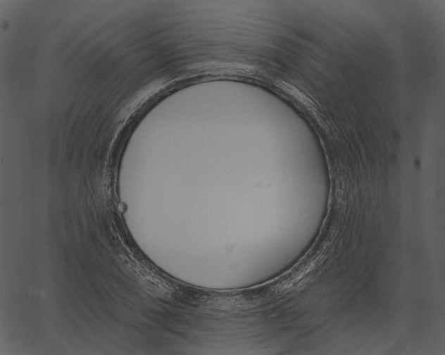 X0000062611074200601111002