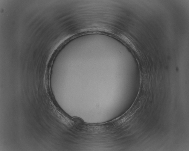 X0000062611076200601111002